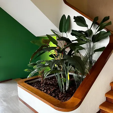 Casa Bustins